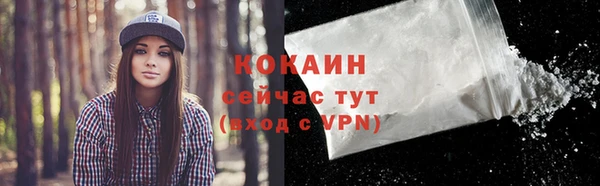 дмт Верея