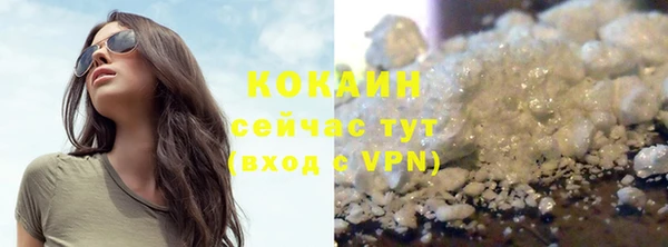 крисы Бородино
