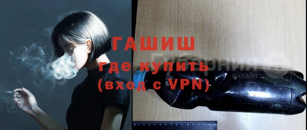 крисы Бородино