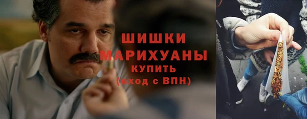 крисы Бородино