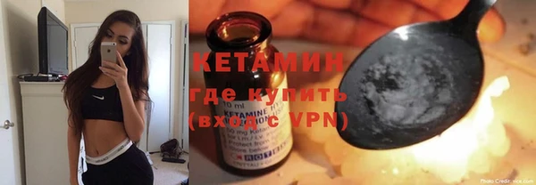крисы Бородино