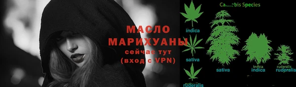 крисы Бородино