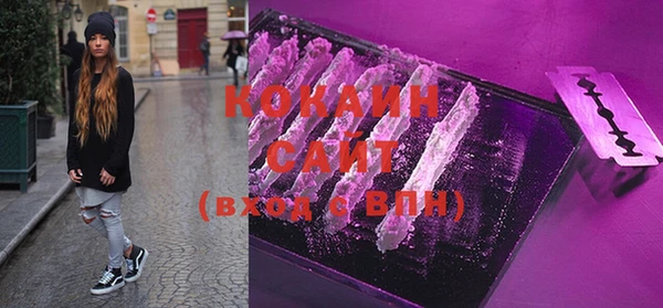 крисы Бородино