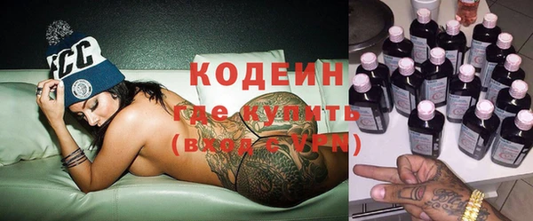 крисы Бородино
