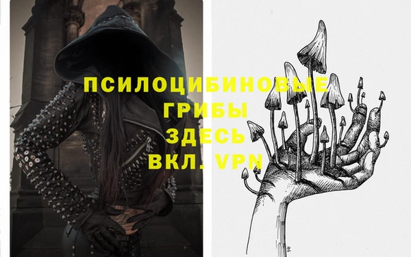 дмт Верея