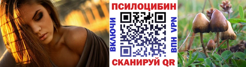 купить наркотик Гусев Псилоцибиновые грибы мухоморы